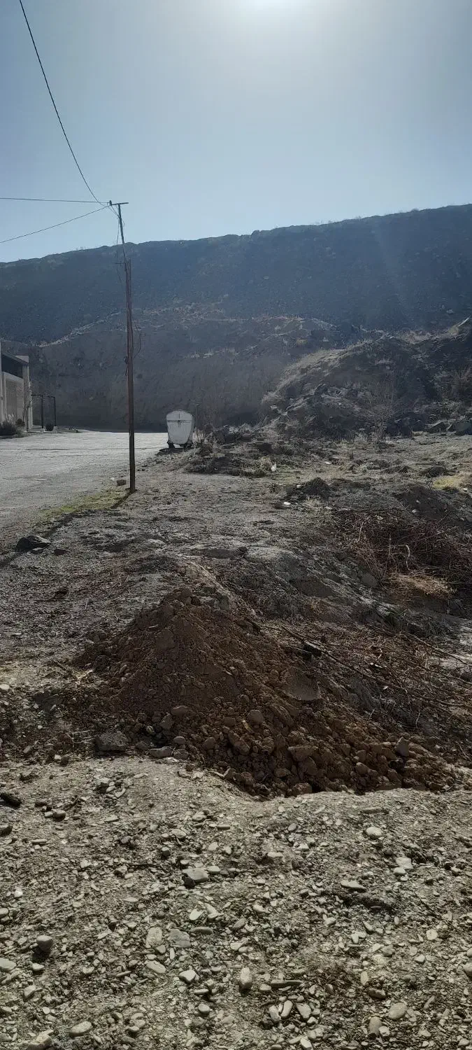 سگ گمشده|حیوانات|مشهد, چهارچشمه|دیوار