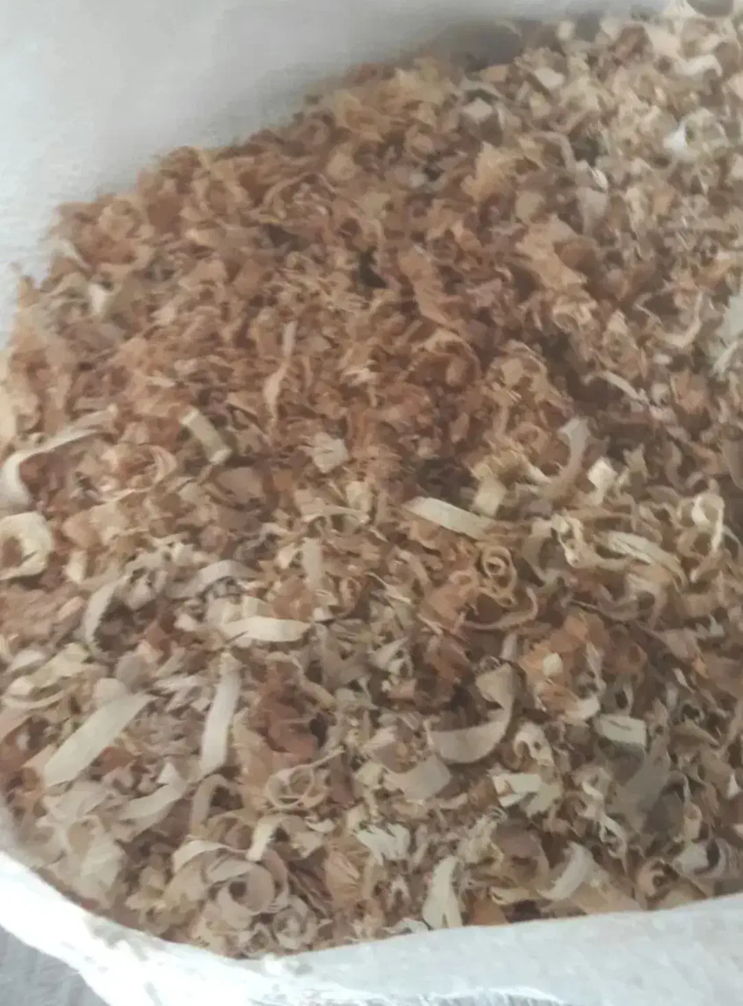 پوشال و خاک اره|لوازم جانبی حیوانات|رشت, معلولین|دیوار