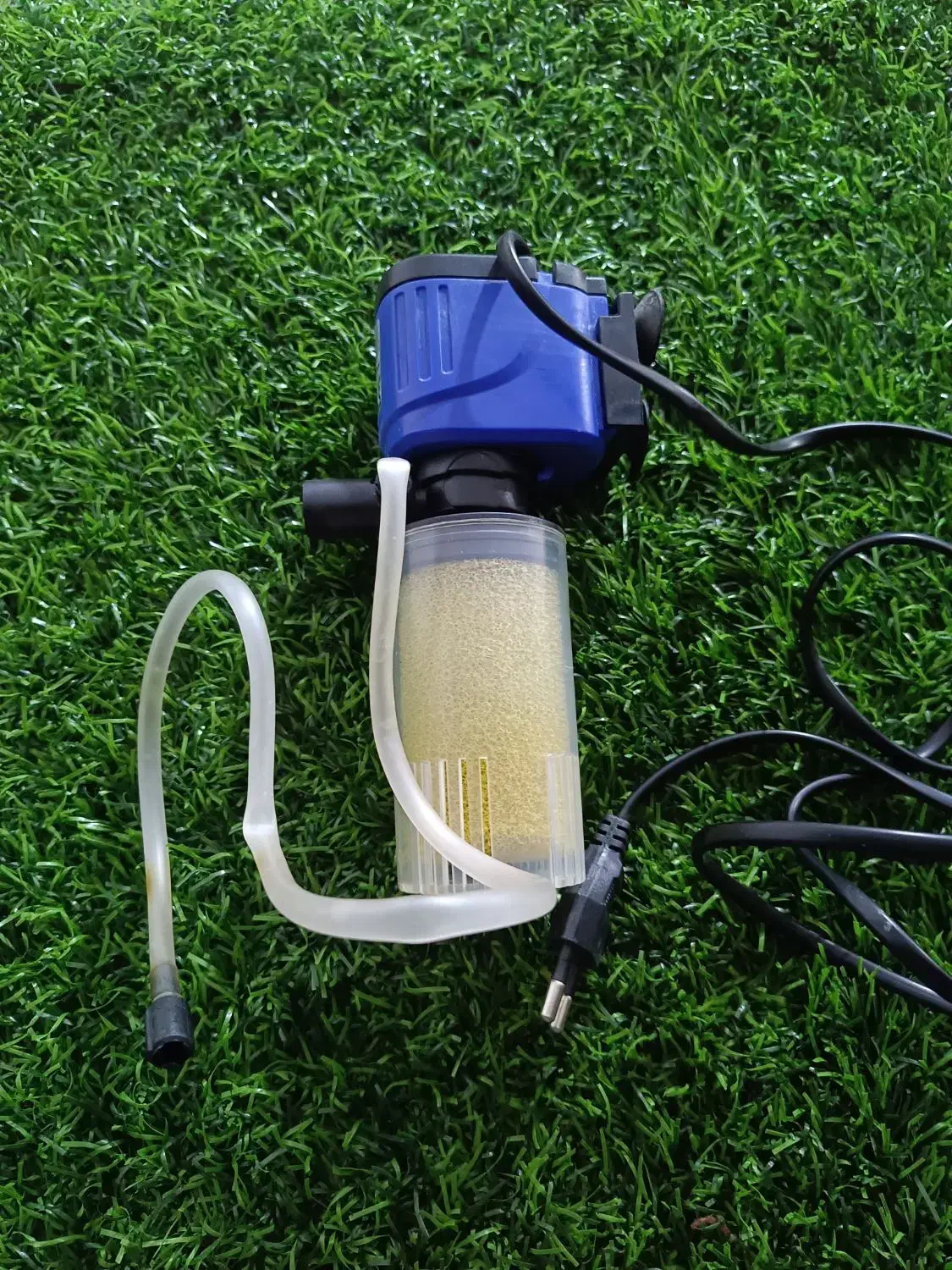 آب فارون|ماهی|ایرانشهر, |دیوار