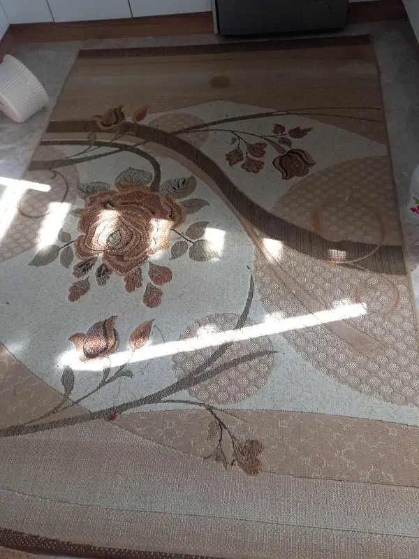 گلیم فرش ۶ متری|گلیم، جاجیم، گبه|همدان, |دیوار