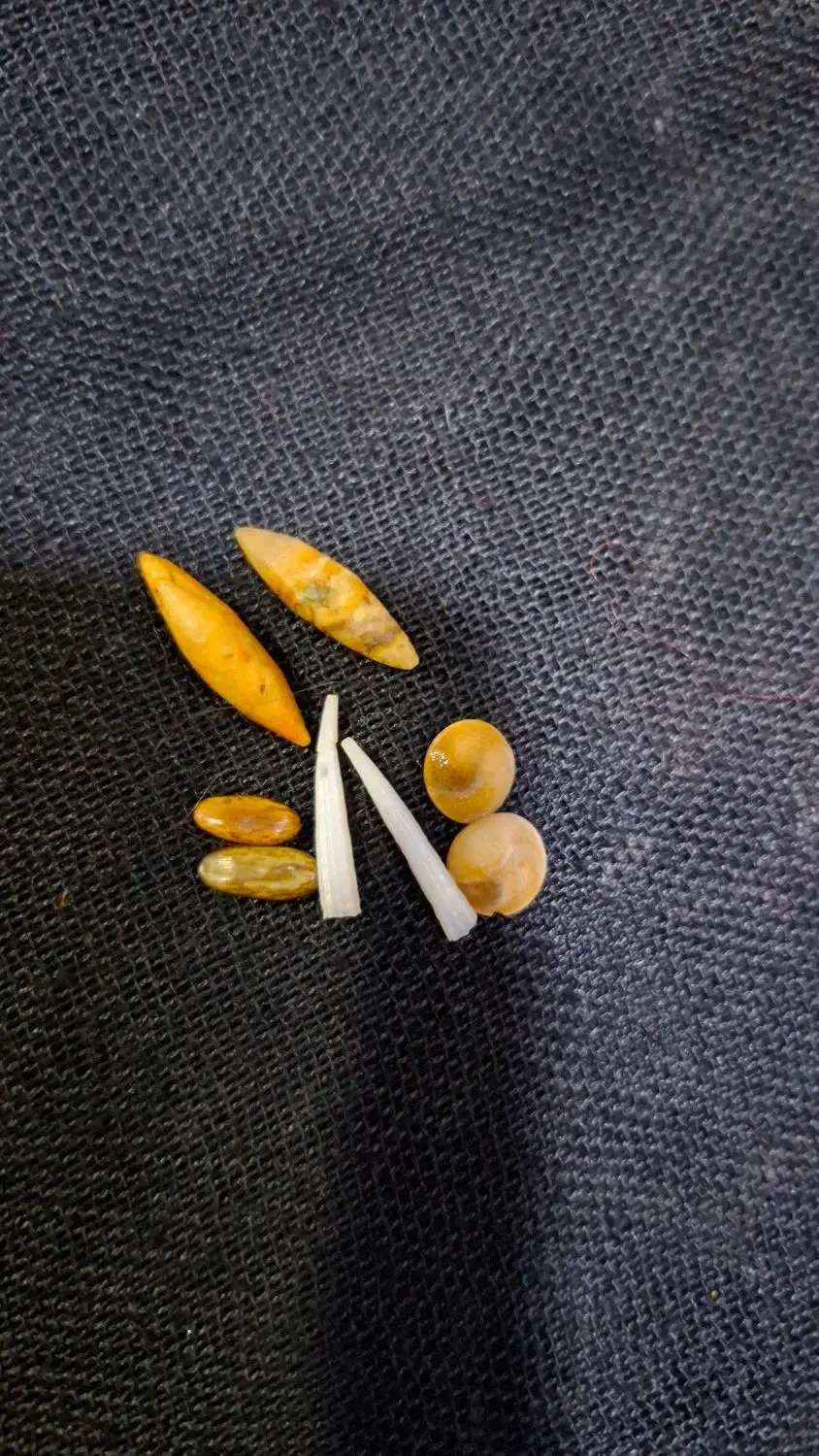 عتیقه|کلکسیون اشیاء عتیقه|دوگنبدان, |دیوار