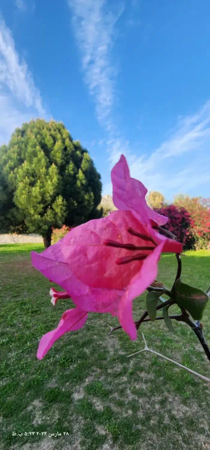 استخدام|استخدام خدمات فروشگاه و رستوران|بهبهان, |دیوار