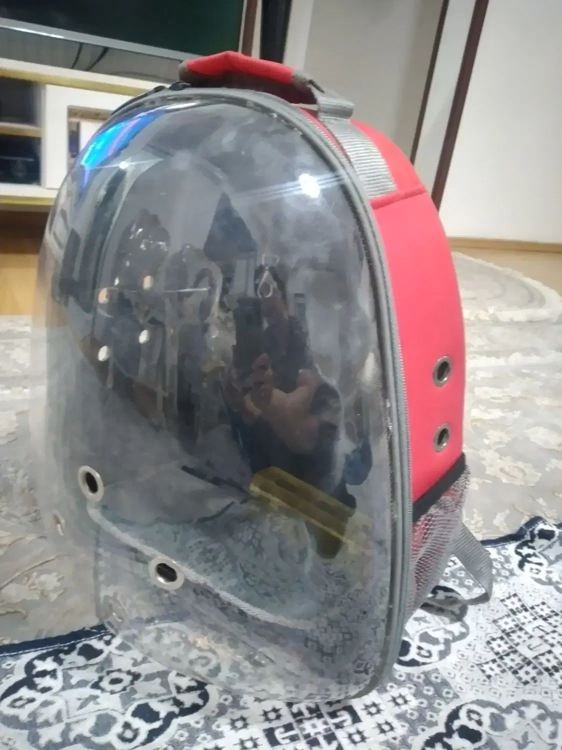 کیف حمل پرنده|لوازم جانبی حیوانات|پرند, فاز ۵|دیوار