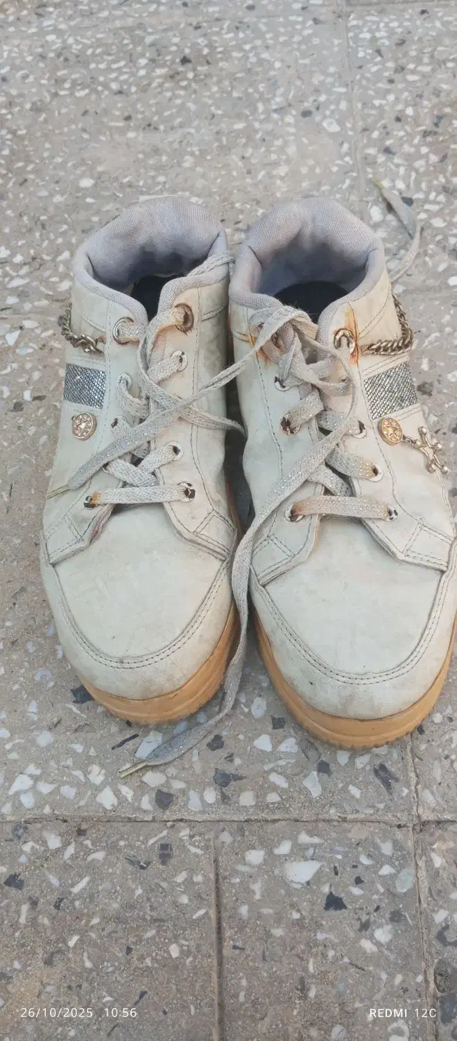 کفش|کیف، کفش، کمربند|کارون, |دیوار