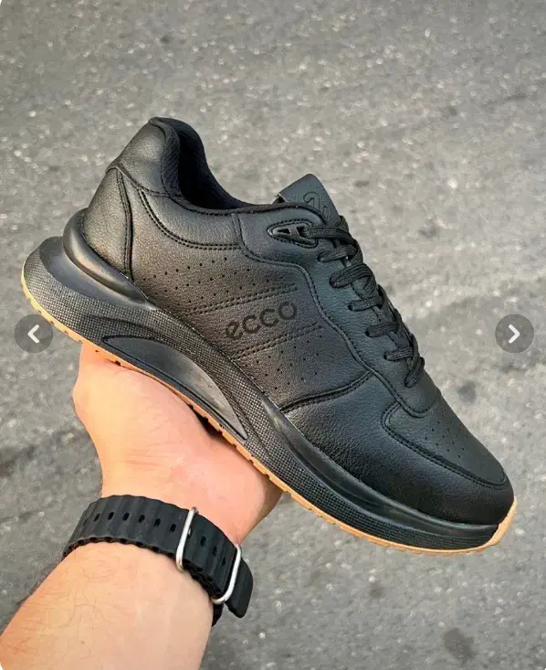 کتونی مردانه|کیف، کفش، کمربند|اردبیل, |دیوار