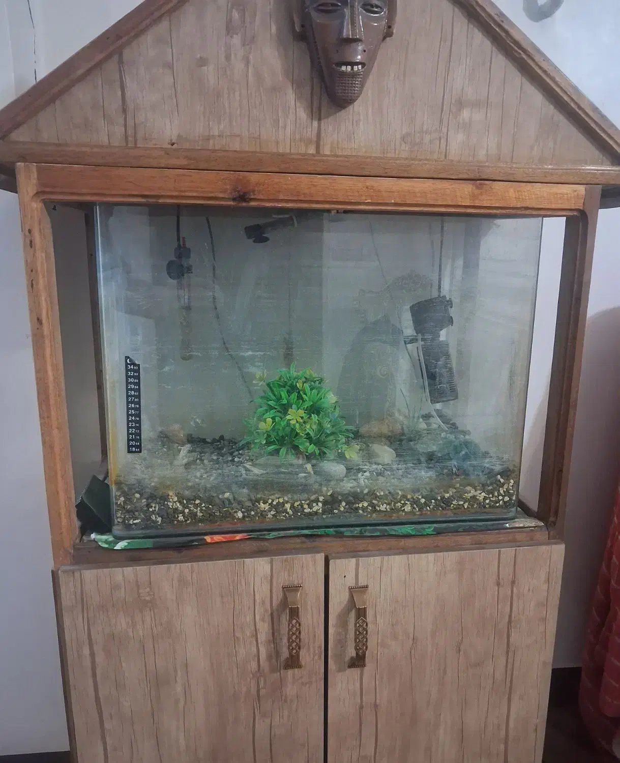 فردش اکواریوم|ماهی|تهران, مشیریه|دیوار