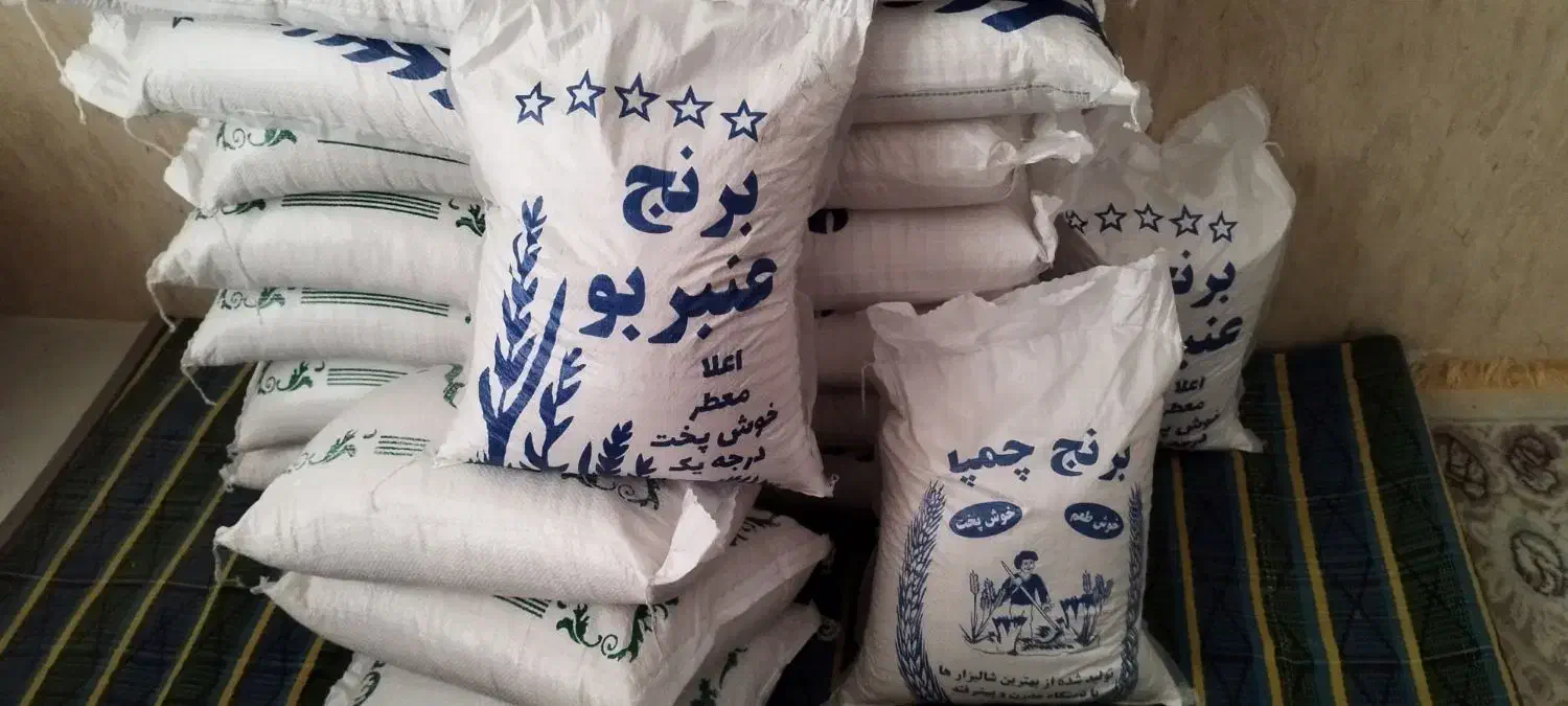 برنج ایرانی عنبربو وچمپا و کامفیروز تکی و عمده|خوردنی و آشامیدنی|بندر گناوه, |دیوار