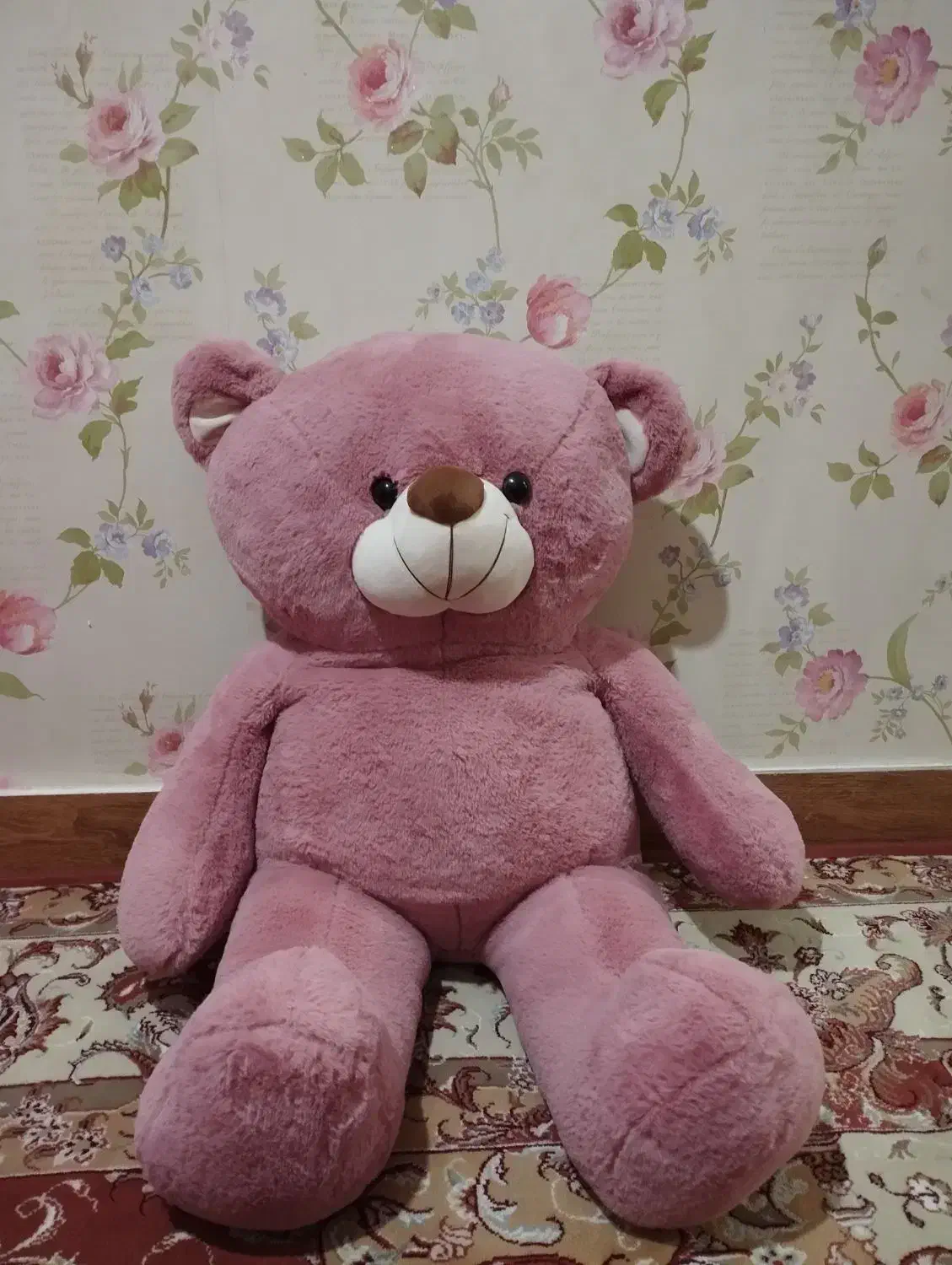 خرس|اسباب‌‌بازی|سهند, |دیوار