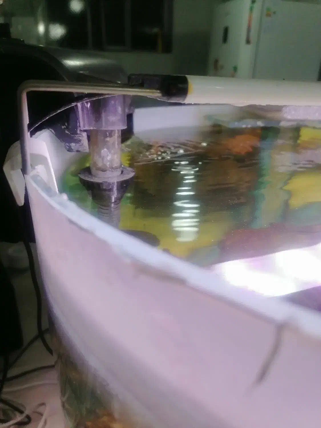 آکواریوم شیشه خم حلال|ماهی|شیراز, شیشهگری|دیوار