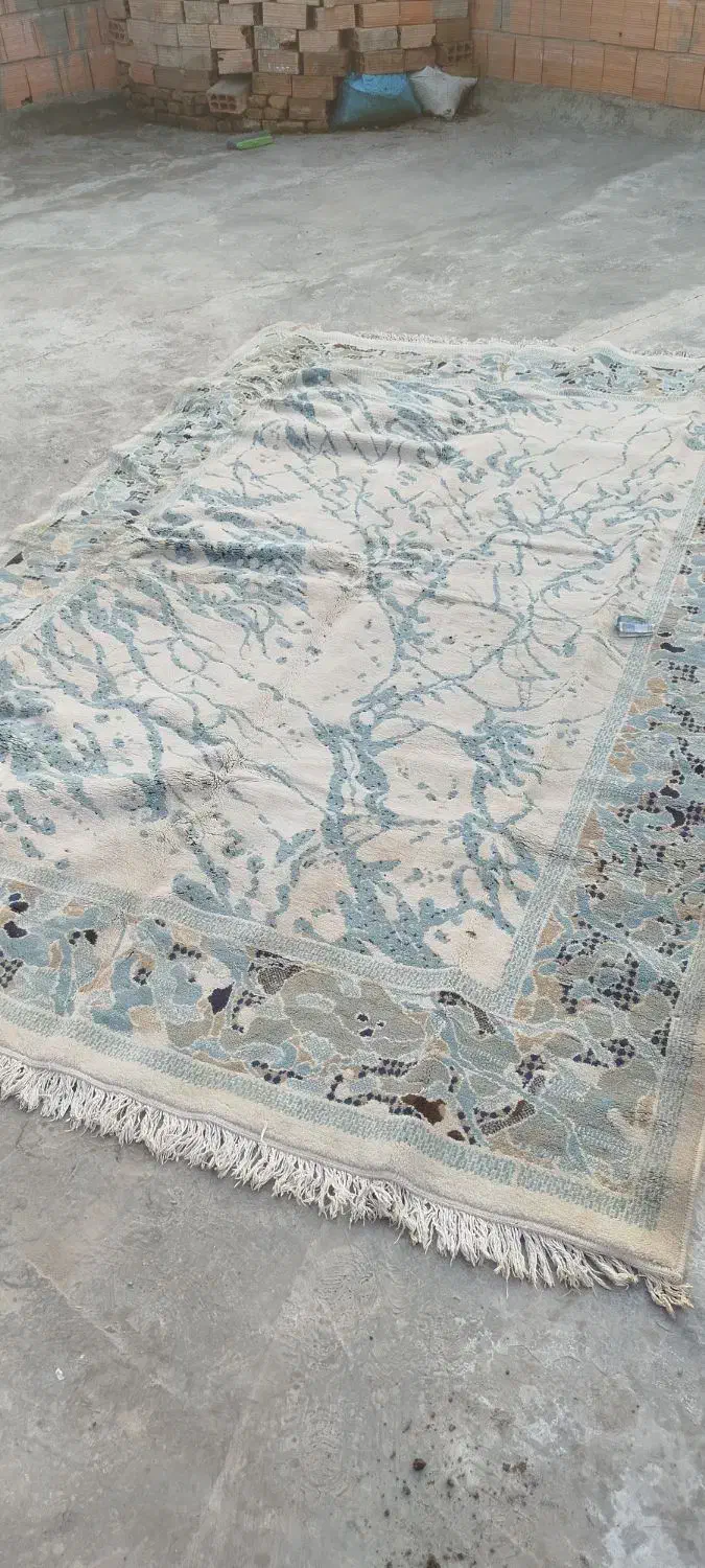 قالی شش متری|فرش|گرگان, |دیوار