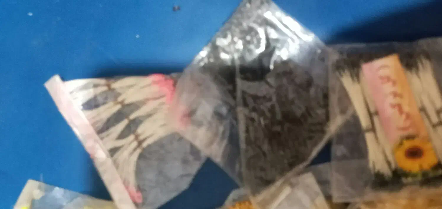 لوازم گل سازی|گل و گیاه طبیعی|تهران, فرودگاه مهرآباد|دیوار