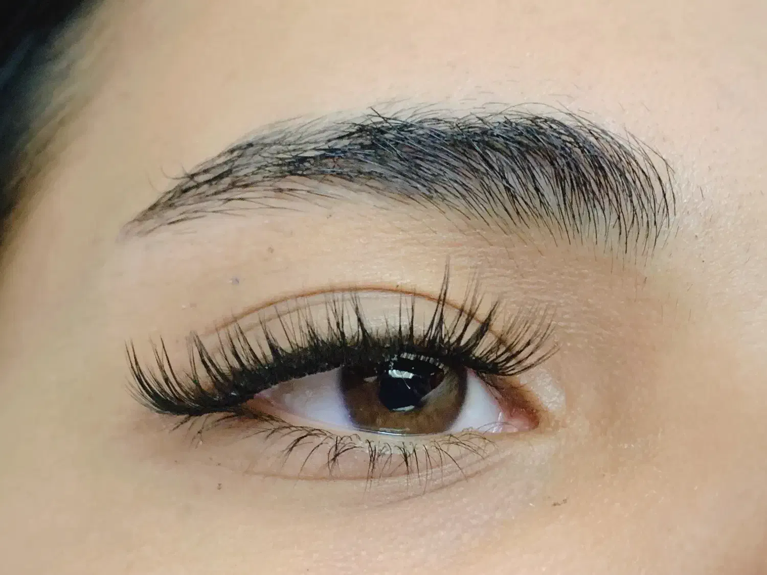 مدل برای کاشت مژه|خدمات آرایشگری و زیبایی|شاهین‌شهر, عطار|دیوار