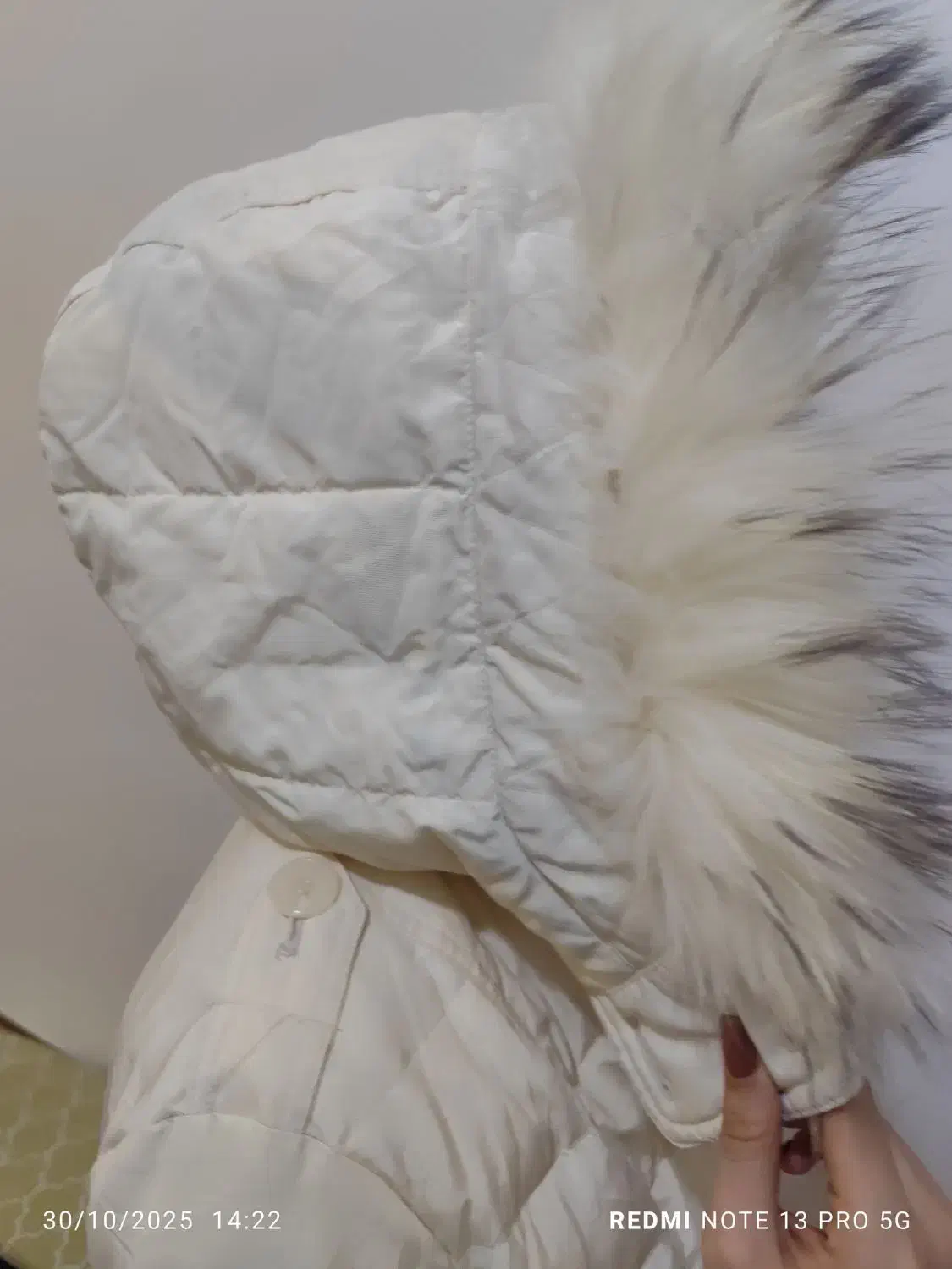 کاپشن|لباس|برازجان, |دیوار