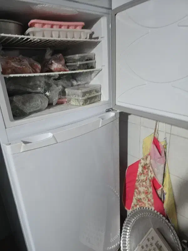 یخچال فریزر|یخچال و فریزر|شیراز, شهرک قمشه|دیوار