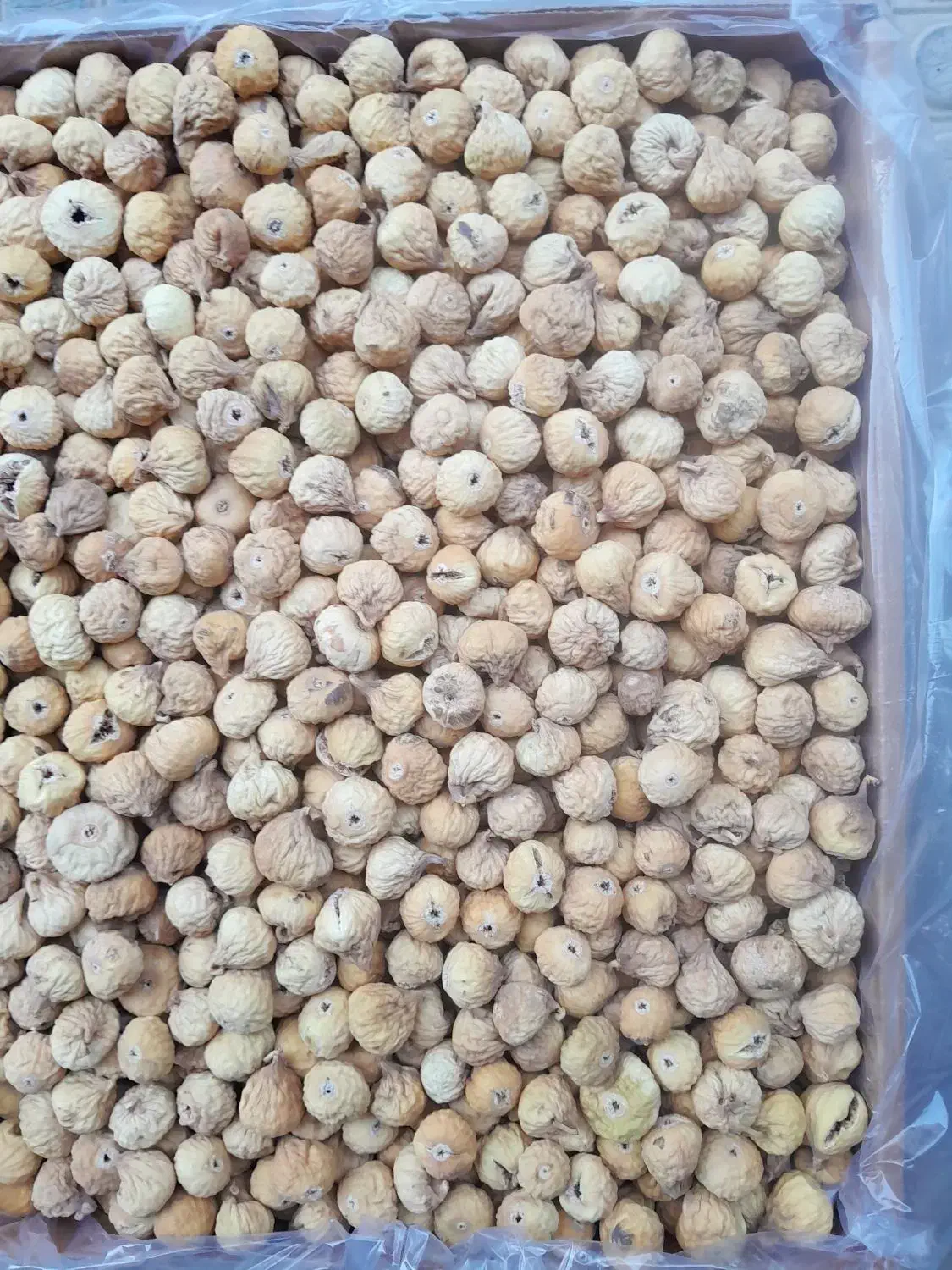 انجیر شیراز|خوردنی و آشامیدنی|مشهد, گلبرگ|دیوار