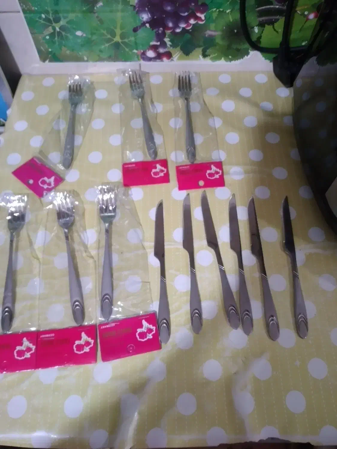 کاسه|حراج|شوشتر, |دیوار