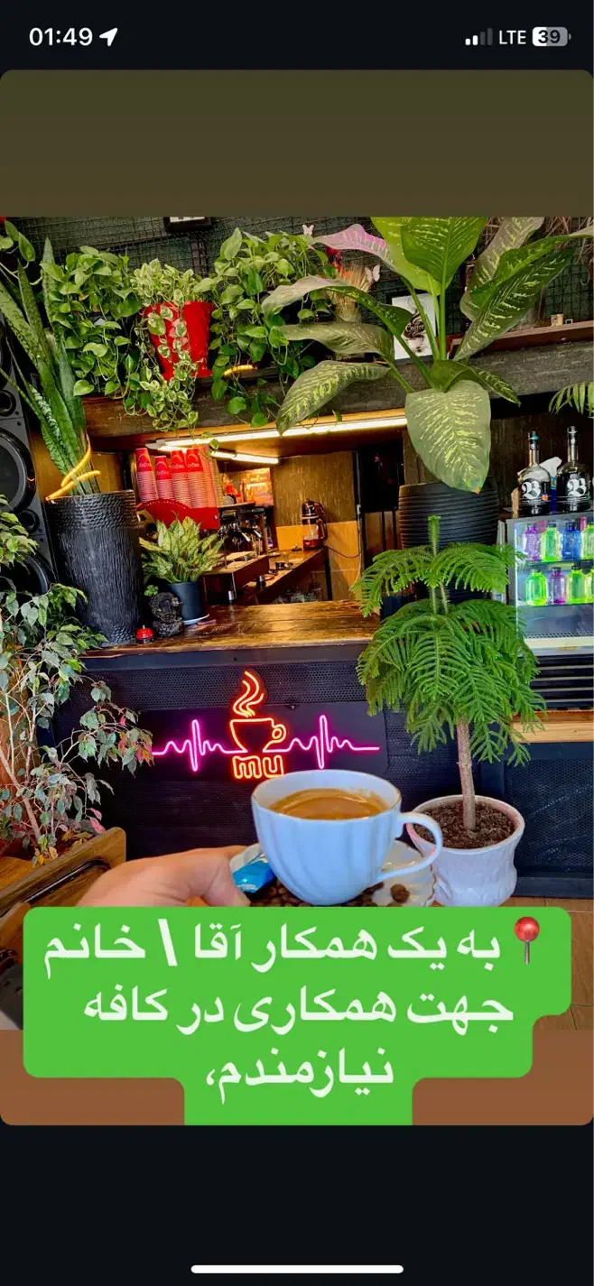 باریستا|استخدام خدمات فروشگاه و رستوران|چالوس, |دیوار