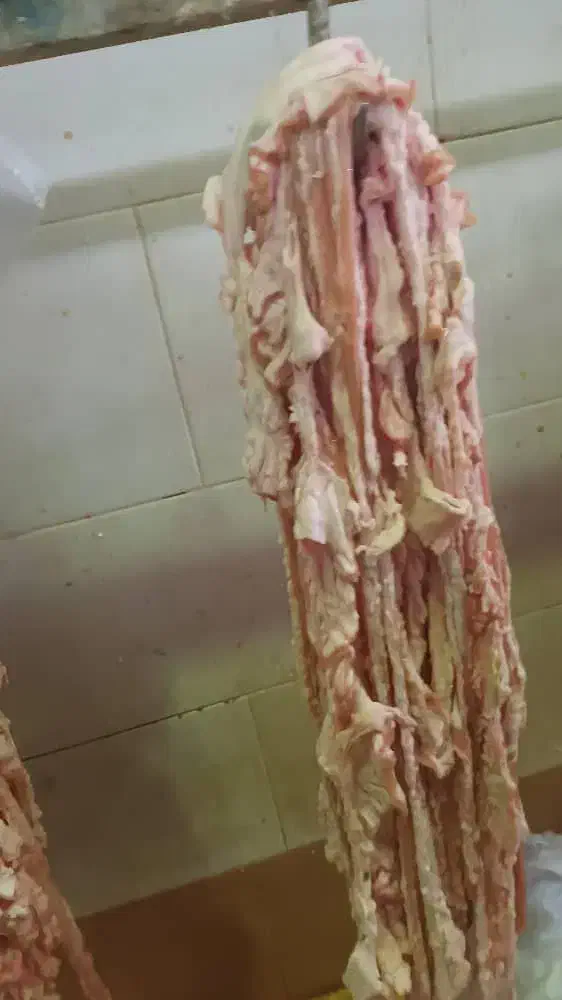 روده چاق گوسفندی|خوردنی و آشامیدنی|تهران, ترمینال جنوب|دیوار