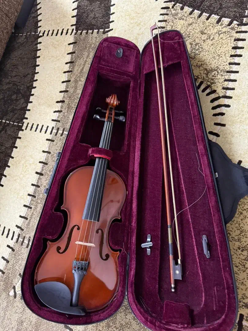 ویولن هافنر حرفه ای|ویولن|بوشهر, |دیوار