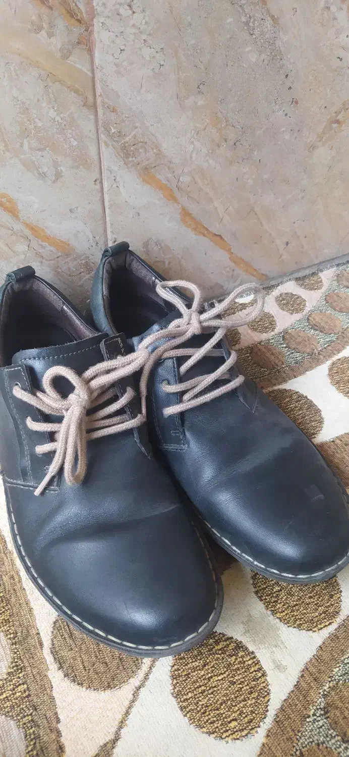 کفش مردانه|کیف، کفش، کمربند|سنندج, |دیوار