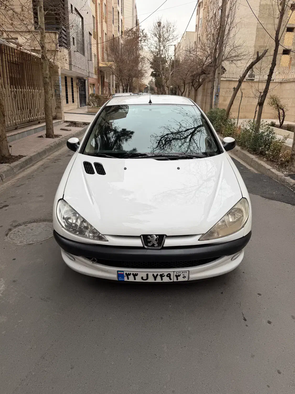 پژو 206 SD V8 مدل ۱۳۸۸|خودرو سواری و وانت|کرج, کوی امامیه|دیوار