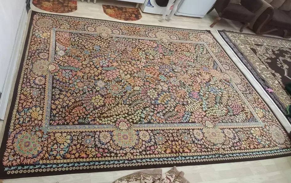 فرش ۹ متری فرهی|فرش|رشت, جانبازان|دیوار