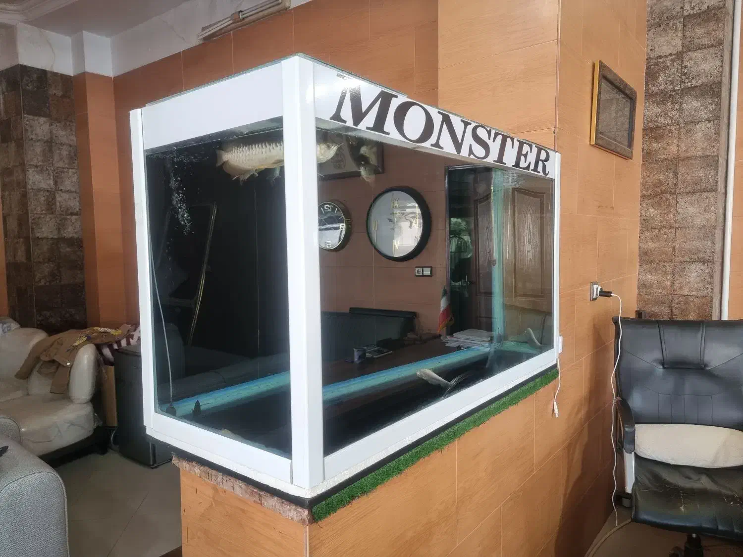 اکواریوم مانستر سفره ماهی|ماهی|کرمان, |دیوار