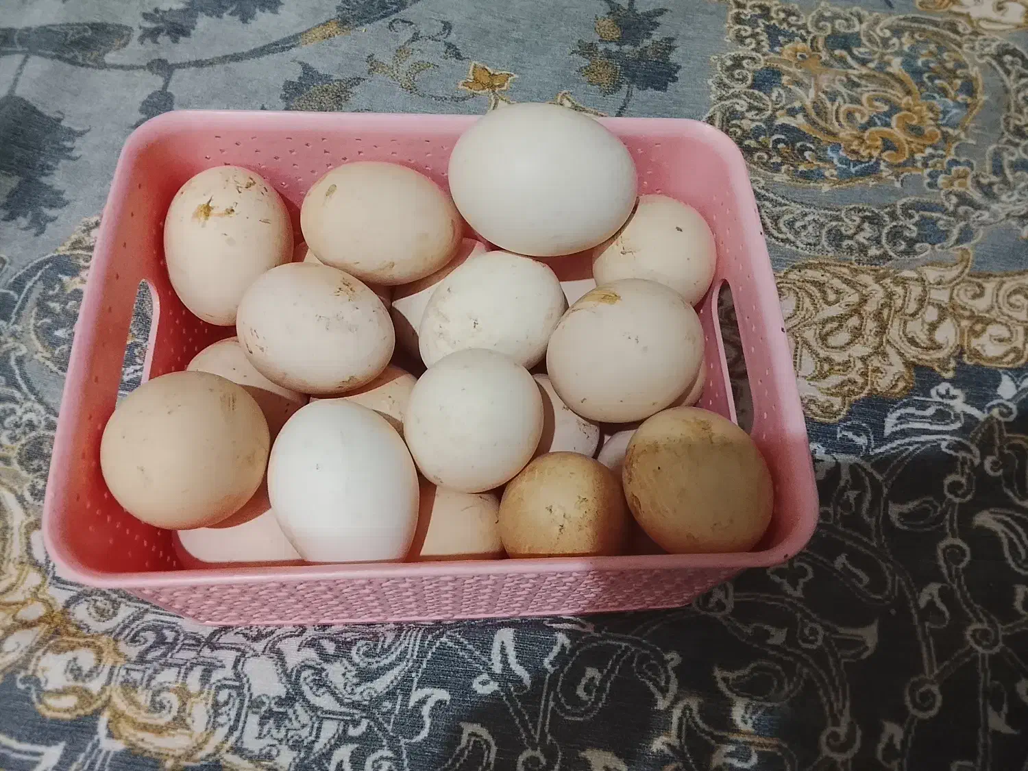 تخم مرغ محلی ودزرده محلی دونه ای10|خوردنی و آشامیدنی|بهارستان, |دیوار