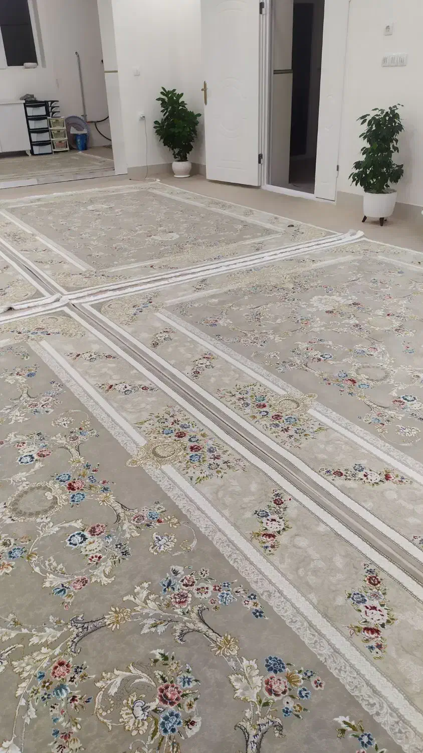 فرش نو|فرش|اشنویه, |دیوار