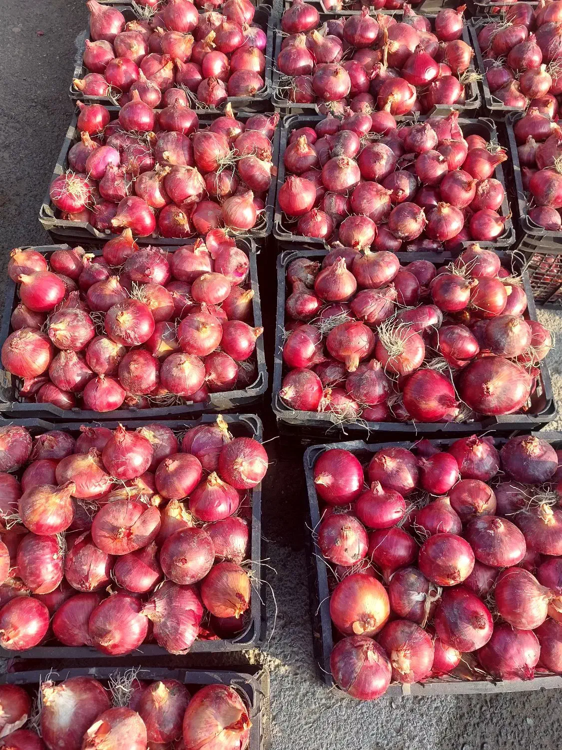 پباز|خوردنی و آشامیدنی|نوشین شهر, |دیوار