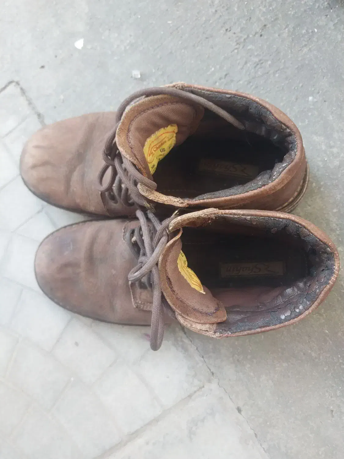 کفش کار|کیف، کفش، کمربند|فسا, |دیوار