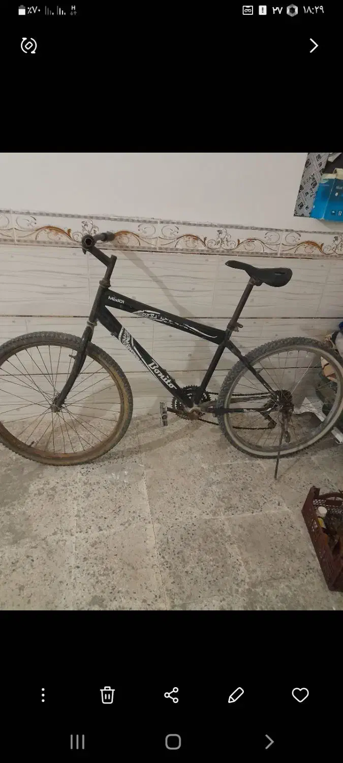 دوچرخه سواری|دوچرخه، اسکیت، اسکوتر|بوشهر, |دیوار