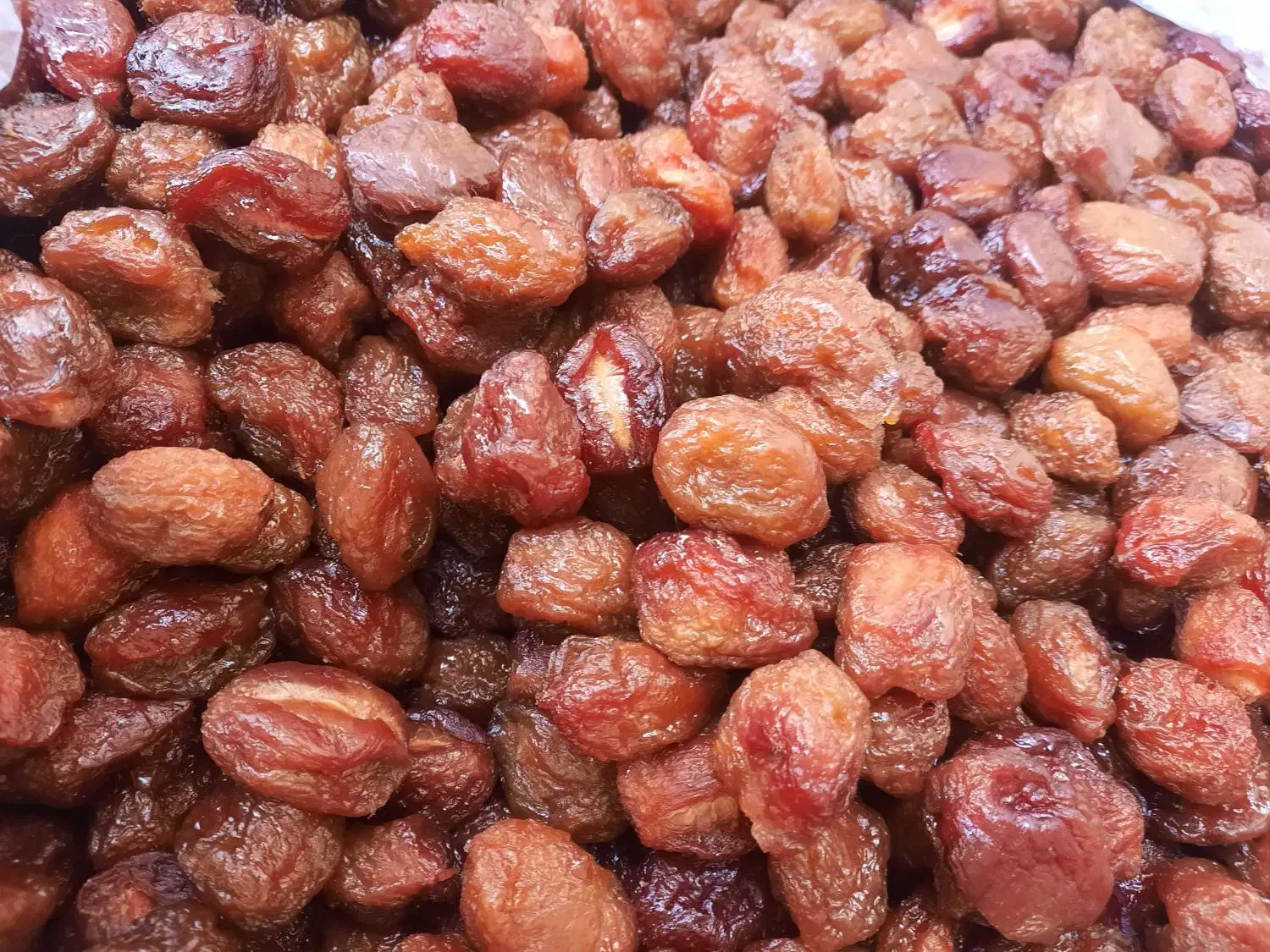 الوبخارا آلوبخارا|عمدهفروشی|زابل, |دیوار