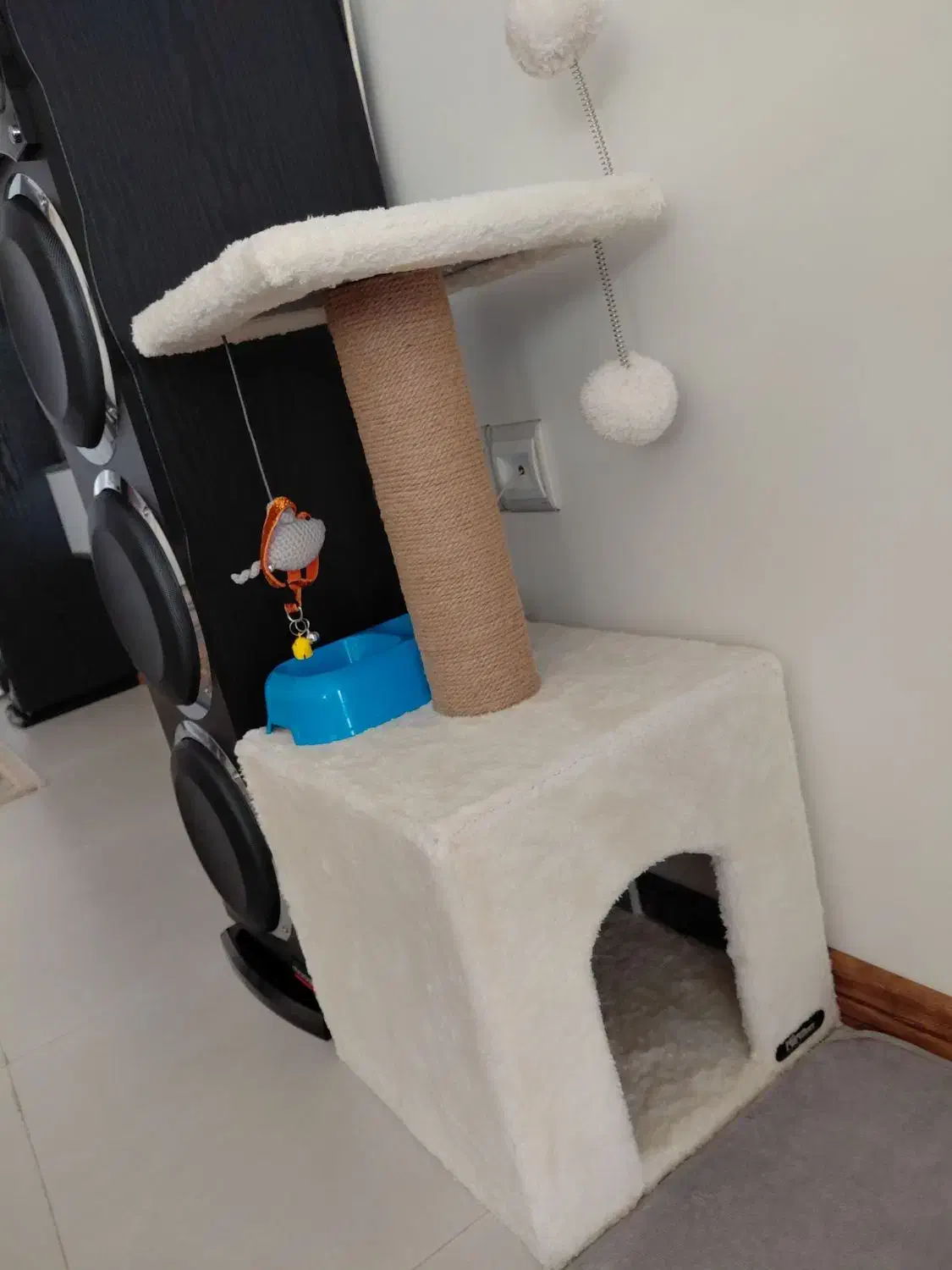 لانه گربه وساک حمل|لوازم جانبی حیوانات|زنجان, |دیوار