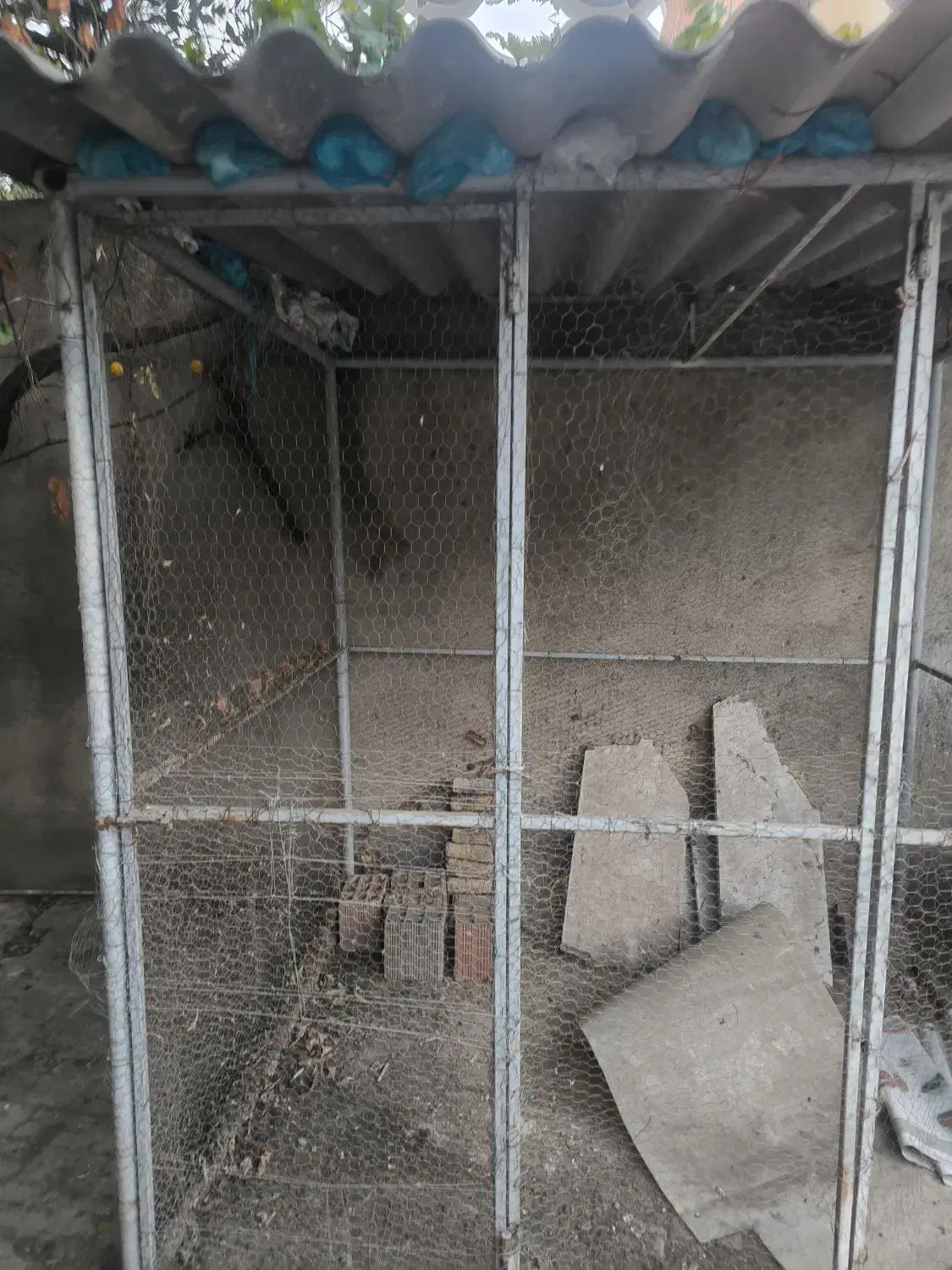 قفس بزرگ آهنی حیوان و پرنده|لوازم جانبی حیوانات|گرگان, |دیوار