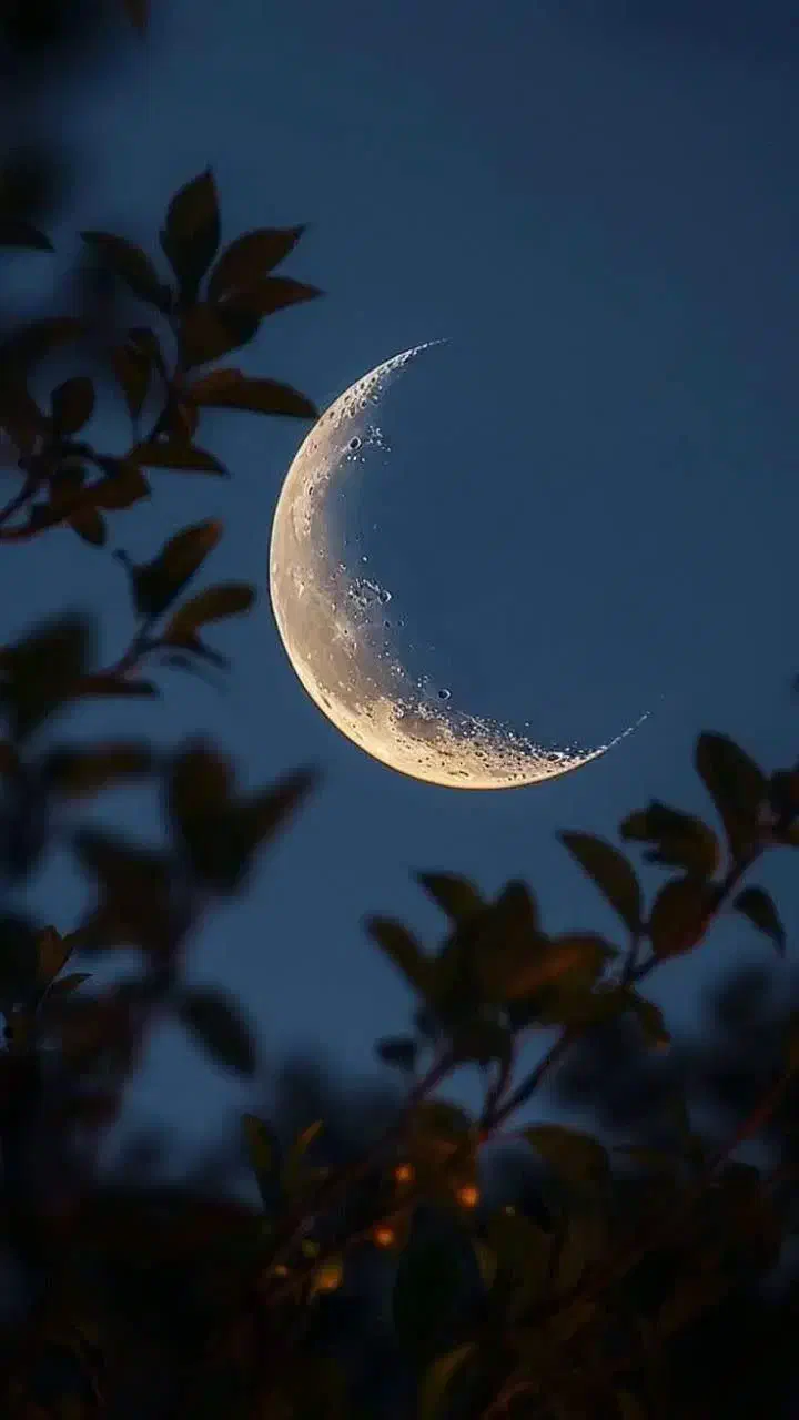 ۰۹۰۰۹۵۰۱۹۲۰|سیم‌کارت|تهران, آبشار|دیوار