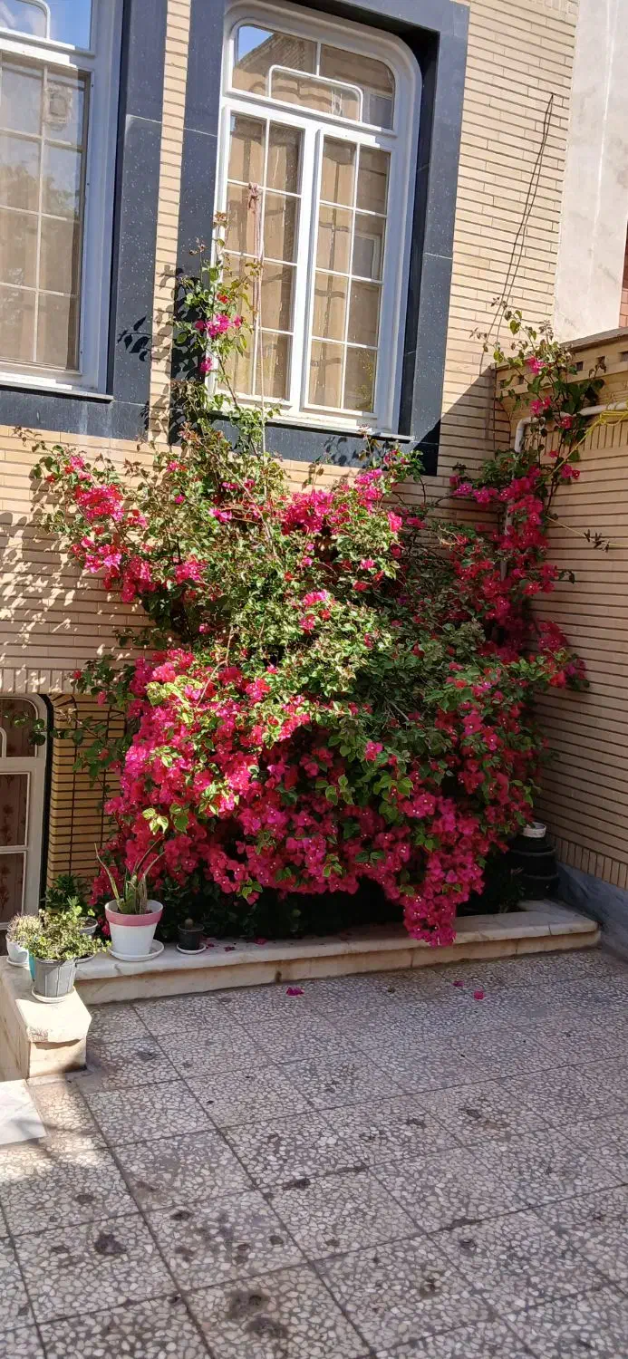 سوییت دو خوابه فواد|اجارهٔ کوتاهمدت آپارتمان و سوئیت|کاشان, فاز ۲ ناجی آباد|دیوار