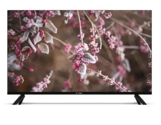 تلوزیون ۵۵|تلویزیون و پروژکتور|تبریز, |دیوار