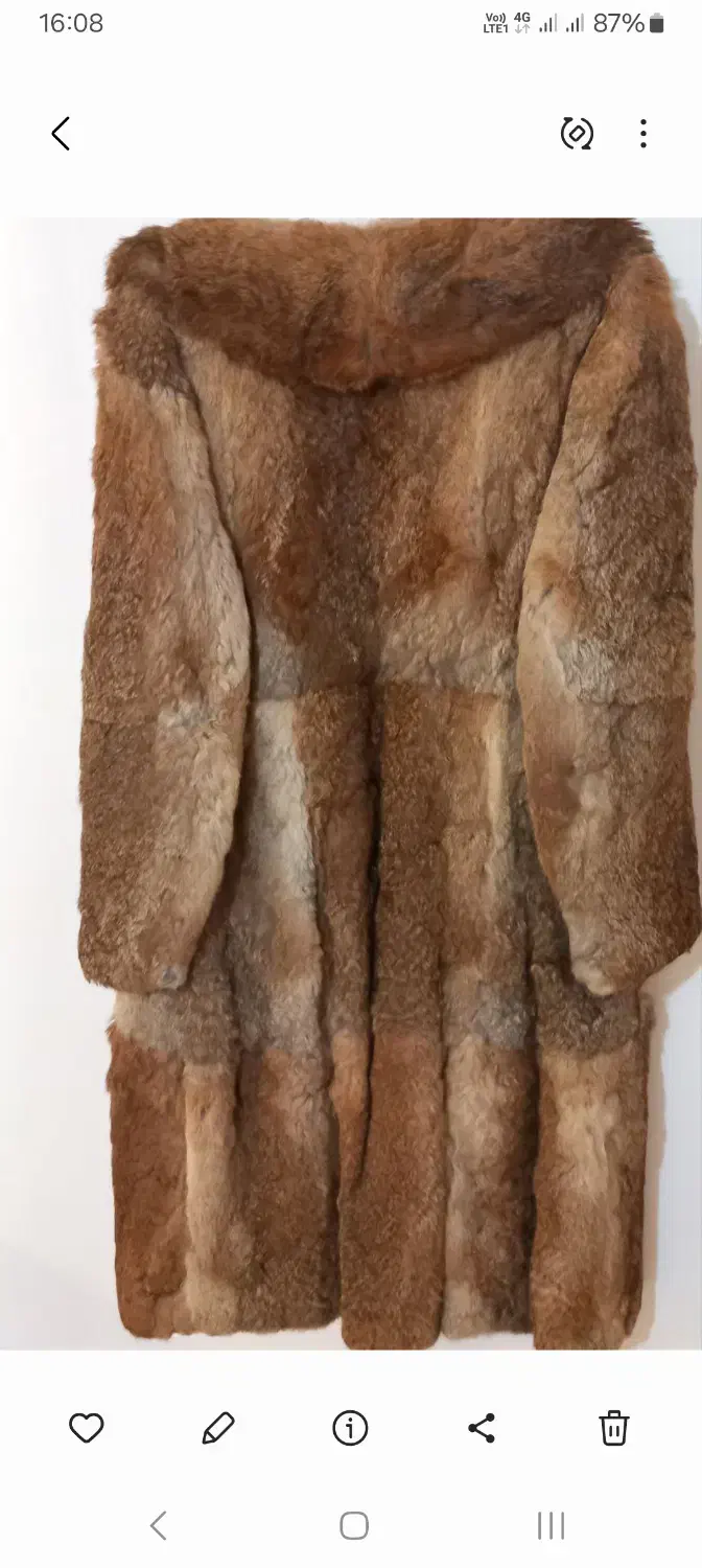 پالتوی پ.وست|لباس|ارومیه, |دیوار