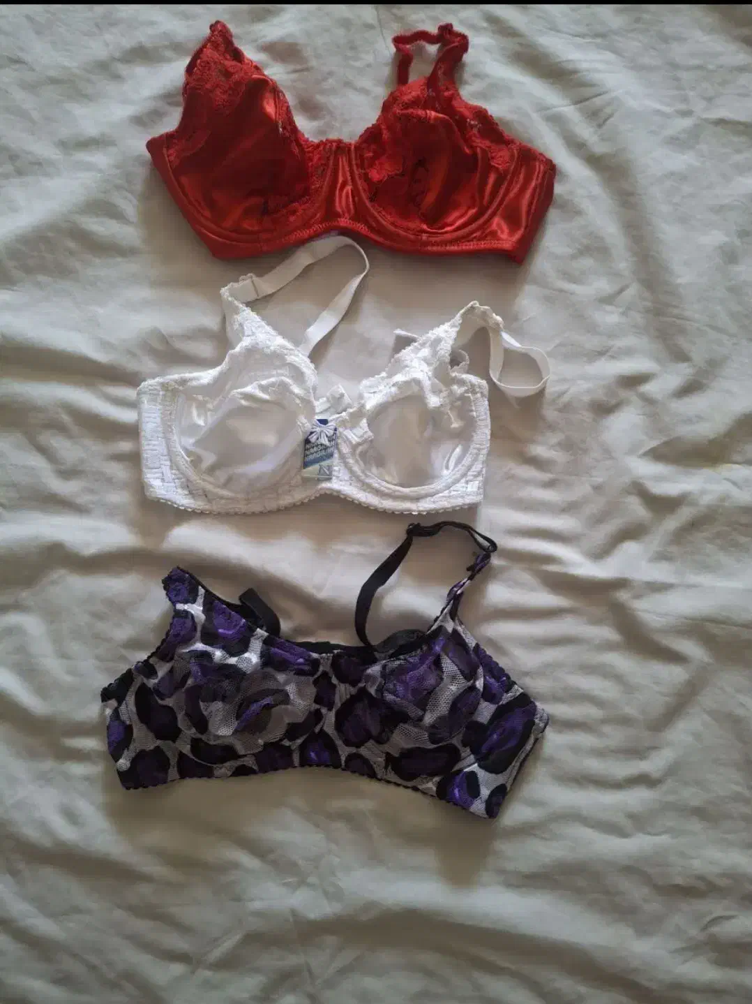 سوتین فانتزی فنردار|لباس|همدان, |دیوار