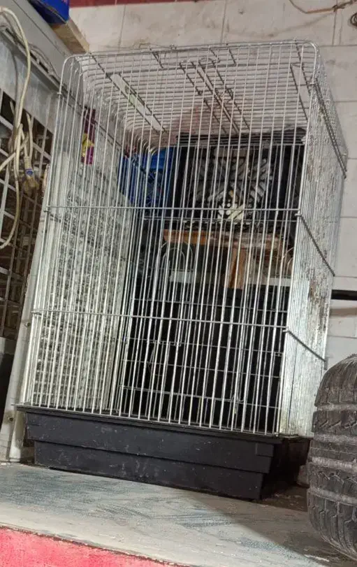 دو عدد قفس بزرگ پرنده|لوازم جانبی حیوانات|شوشتر, |دیوار