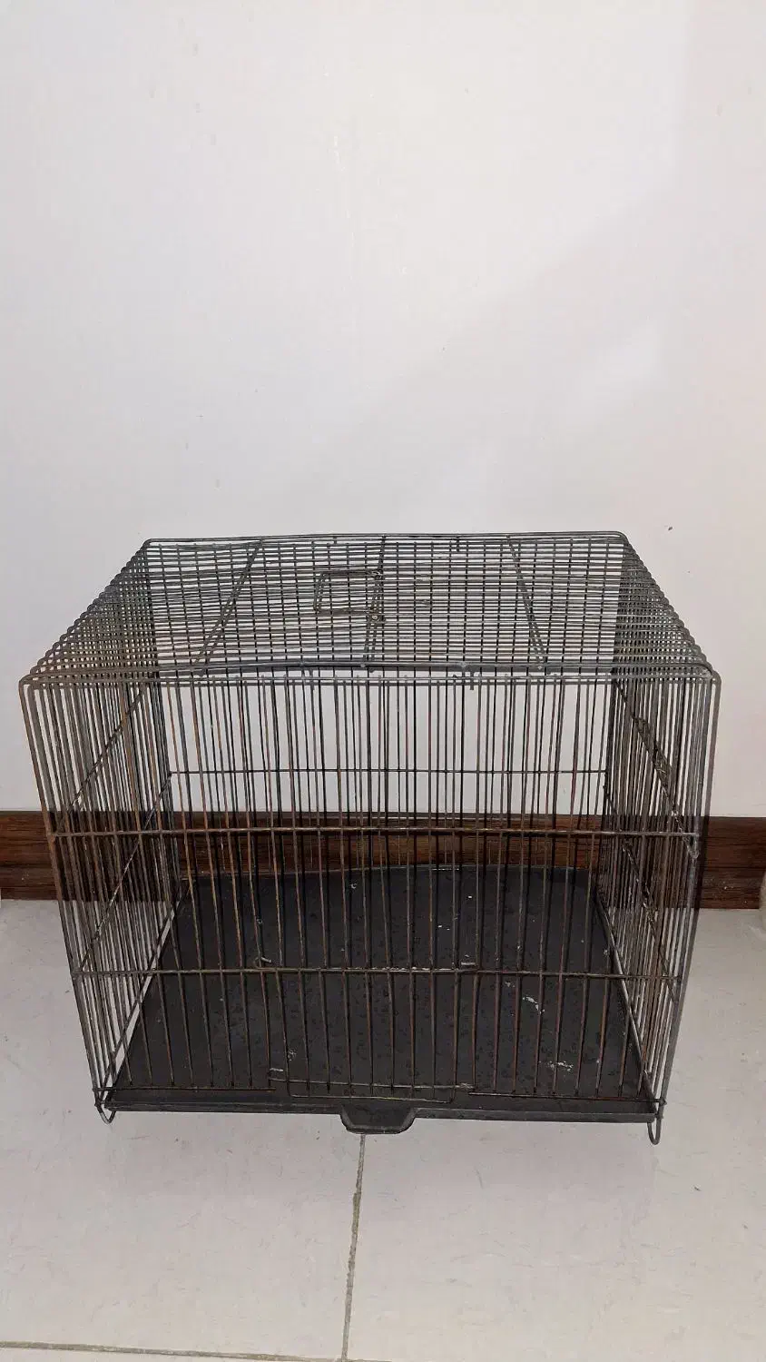 لوازم پرنده قفس و لانه|لوازم جانبی حیوانات|تهران, امام زاده عبدالله|دیوار