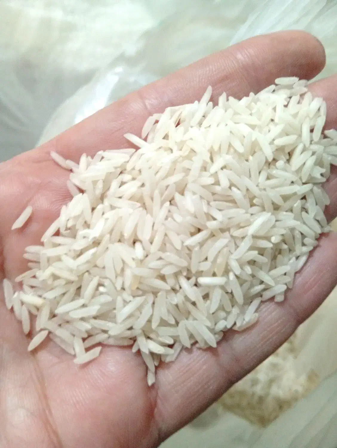 برنج نیم دانه ودرشت هاشمی آستانه اعلاو هاشمی معطر|خوردنی و آشامیدنی|الوند, |دیوار