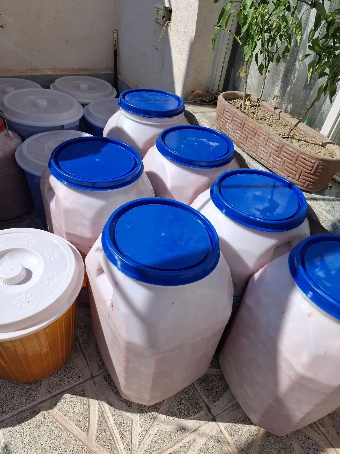 رب گوجه فرنگی خانگی سنتی و ارگانیک|خوردنی و آشامیدنی|تبریز, |دیوار