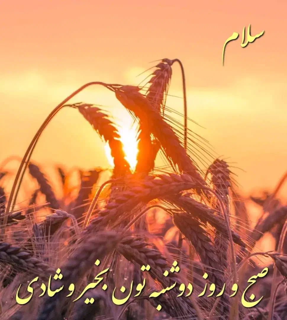 گیاه درمانی(سبحان)|آرایشی، بهداشتی، درمانی|شیراز, گلستان|دیوار