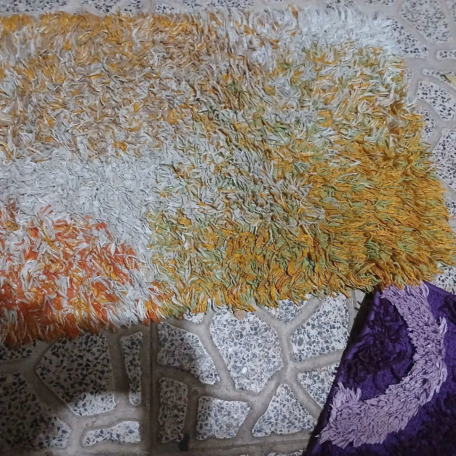 دو جفت پادری|پادری|نظرآباد, نظرآباد|دیوار