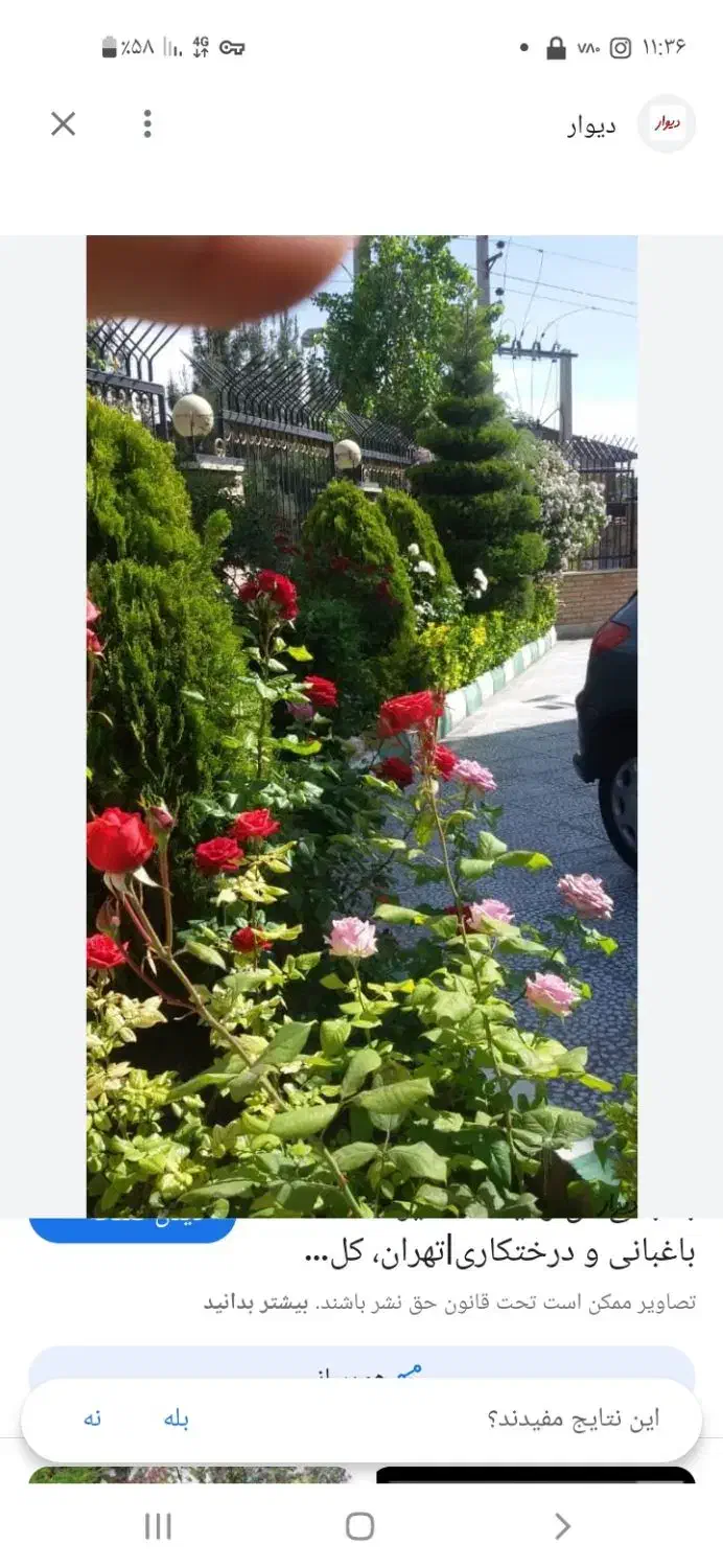 خدمات باغبانی ( گل وگیاه باغچه ای، آپارتمانی)|خدمات باغبانی و درختکاری|تهران, نیروی هوایی (پیروزی)|دیوار