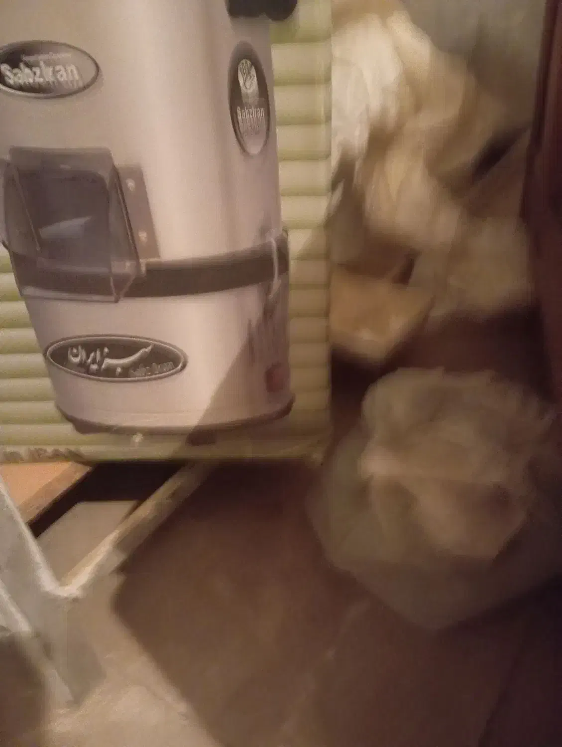 سبزی خرد کن|خردکن، آسیاب، غذاساز|سبزوار, امیر کبیر|دیوار