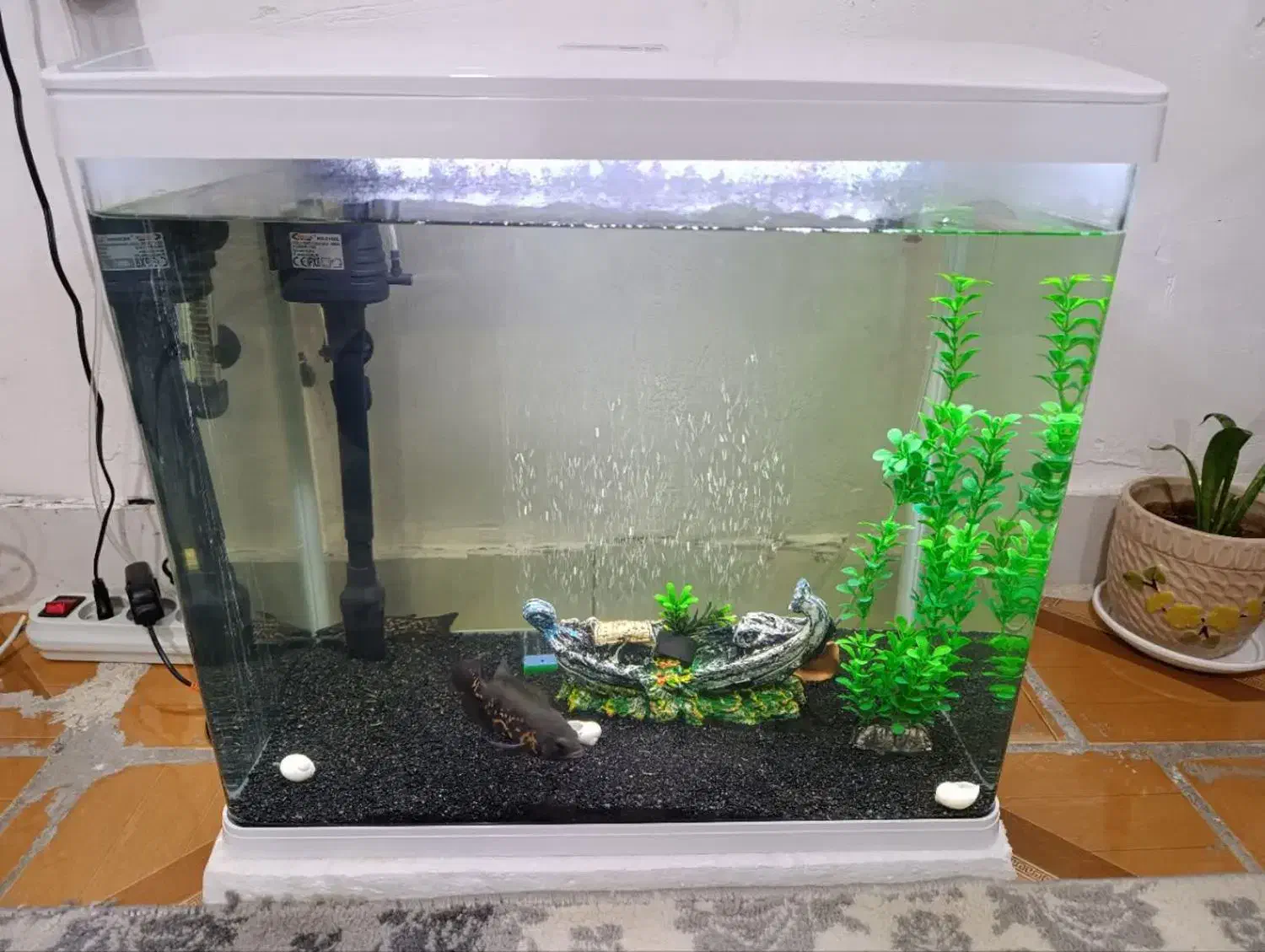 اکواریوم شیشه خم شرکتی دلساk500|ماهی|خرم‌آباد, |دیوار