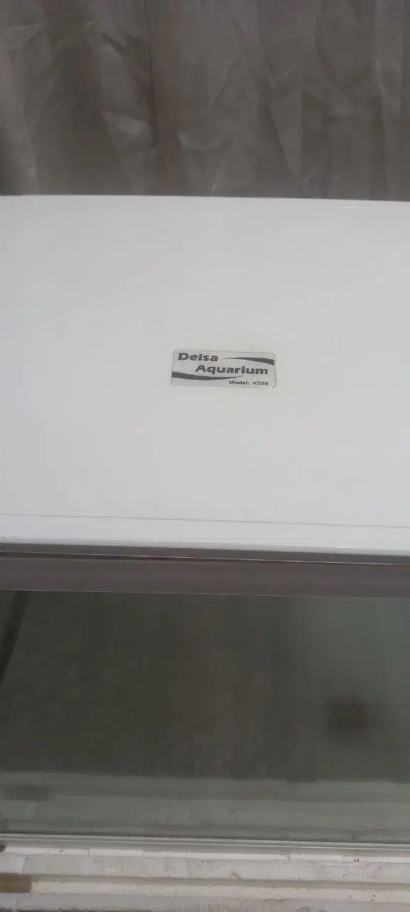 آکواریوم شیشه خم دلسا مدل k500|ماهی|هشتگرد, فاز ۲ مهستان|دیوار
